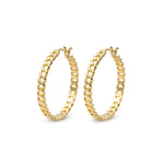 Gold Curb Chain Hoop Earrings