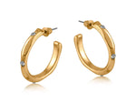 Gold Pamela Encrusted Hoops