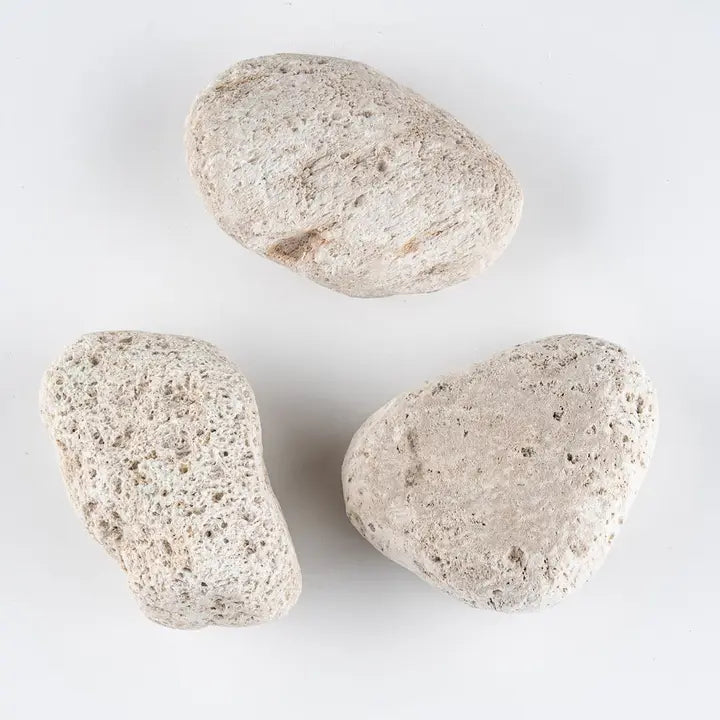 Pumice Stone