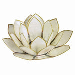 White Lotus Capiz Shell Tealight Holder