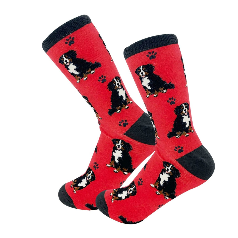 Bernese Mt. Dog Socks