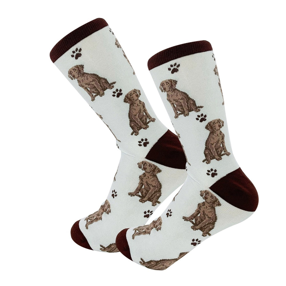 Weimaraner Socks