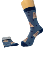 Cocker Spaniel Socks