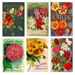 Vintage Seeds Mini Matchbox Assortment