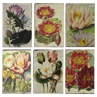 Water Lillies Mini Matchbox Assortment