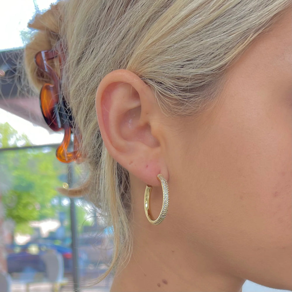 Stone Encrusted Hoops