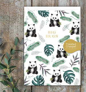 Big Hug Note Cards