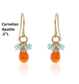 Earrings Carnelian, Apetite 14K GF