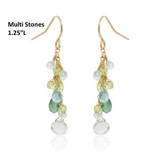 Multi Stones Earrings