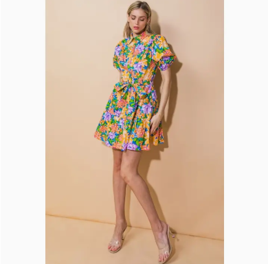 Evelyn Printed Mini Dress