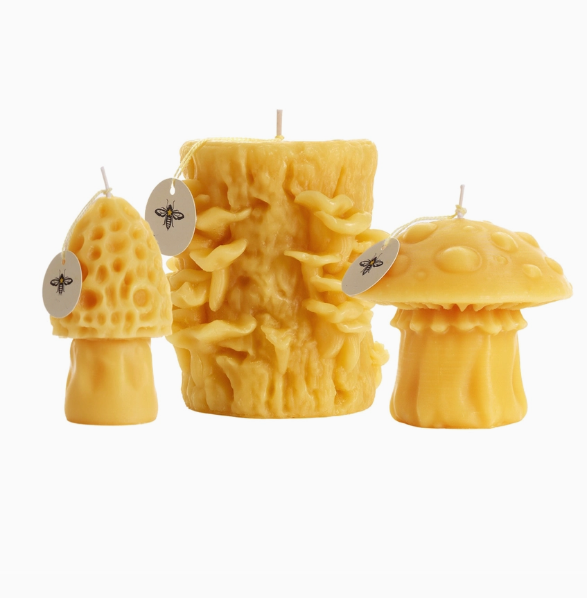 Amanita Mushroom Beeswax Candle