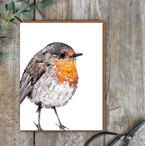 Robin(1) Note Cards