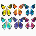 Magic Rainbow Flying Butterfly