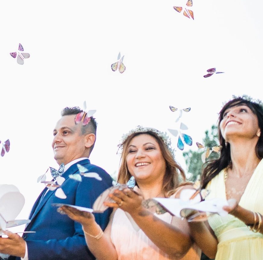 Magic Rainbow Flying Butterfly