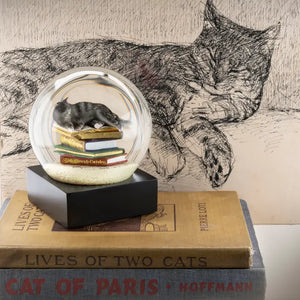 Cat on Books Snow Globe