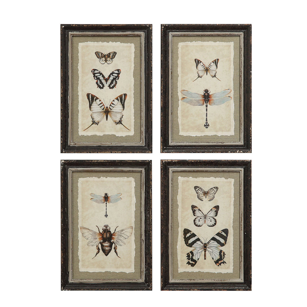 Framed Insect Print