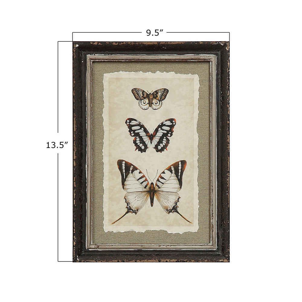 Framed Insect Print