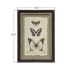 Framed Insect Print