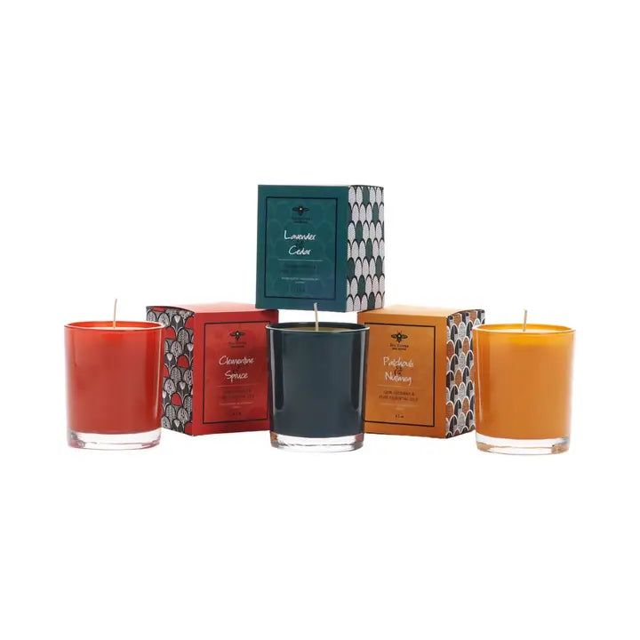 Clementine & Spruce Illuminate Glass Candle